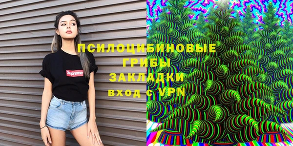 spice Слюдянка