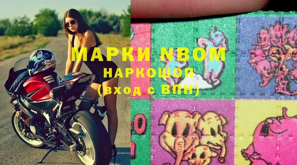 spice Бородино