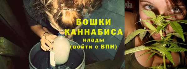 spice Бородино